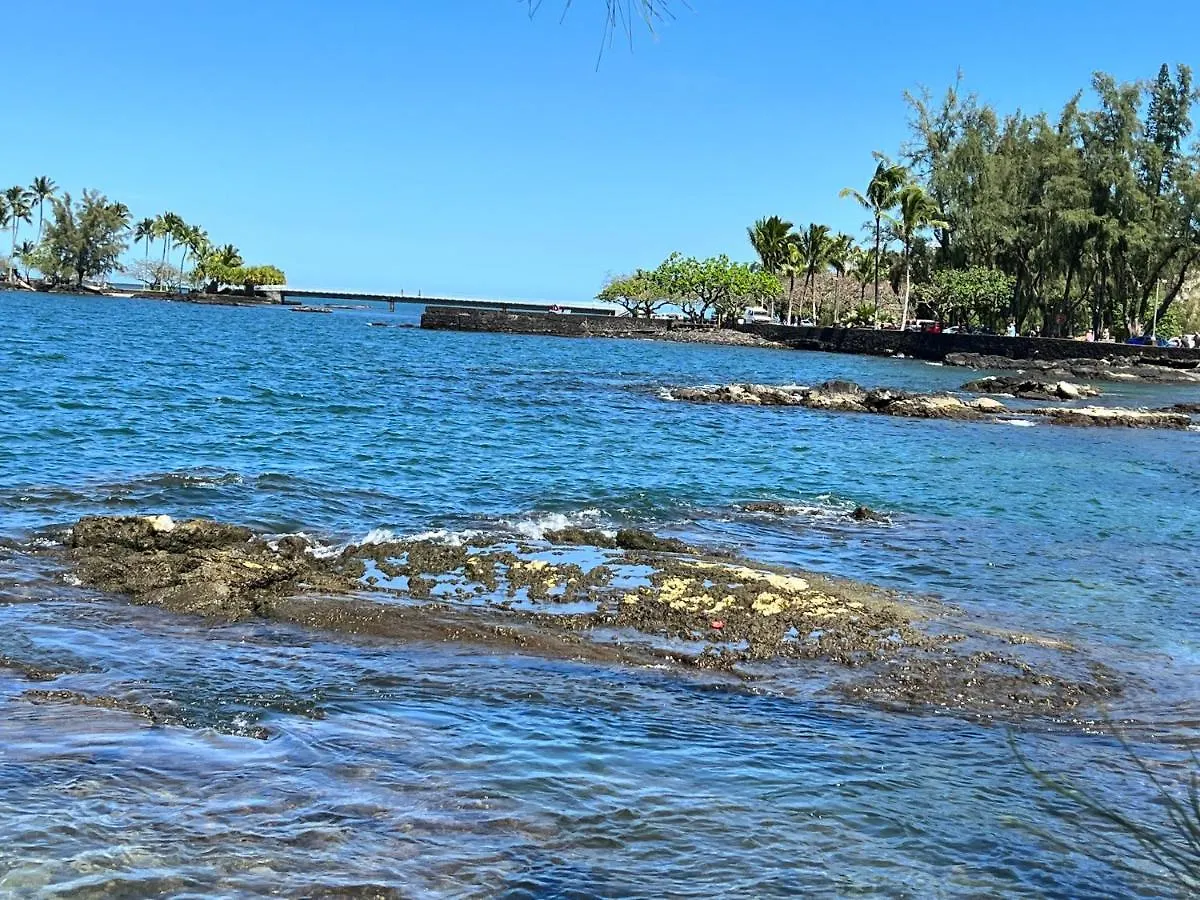 Direct Oceanfront Mauna Loa Shores Honu Elua #508 Next To Carlsmith Beach Park, Hilo Hi