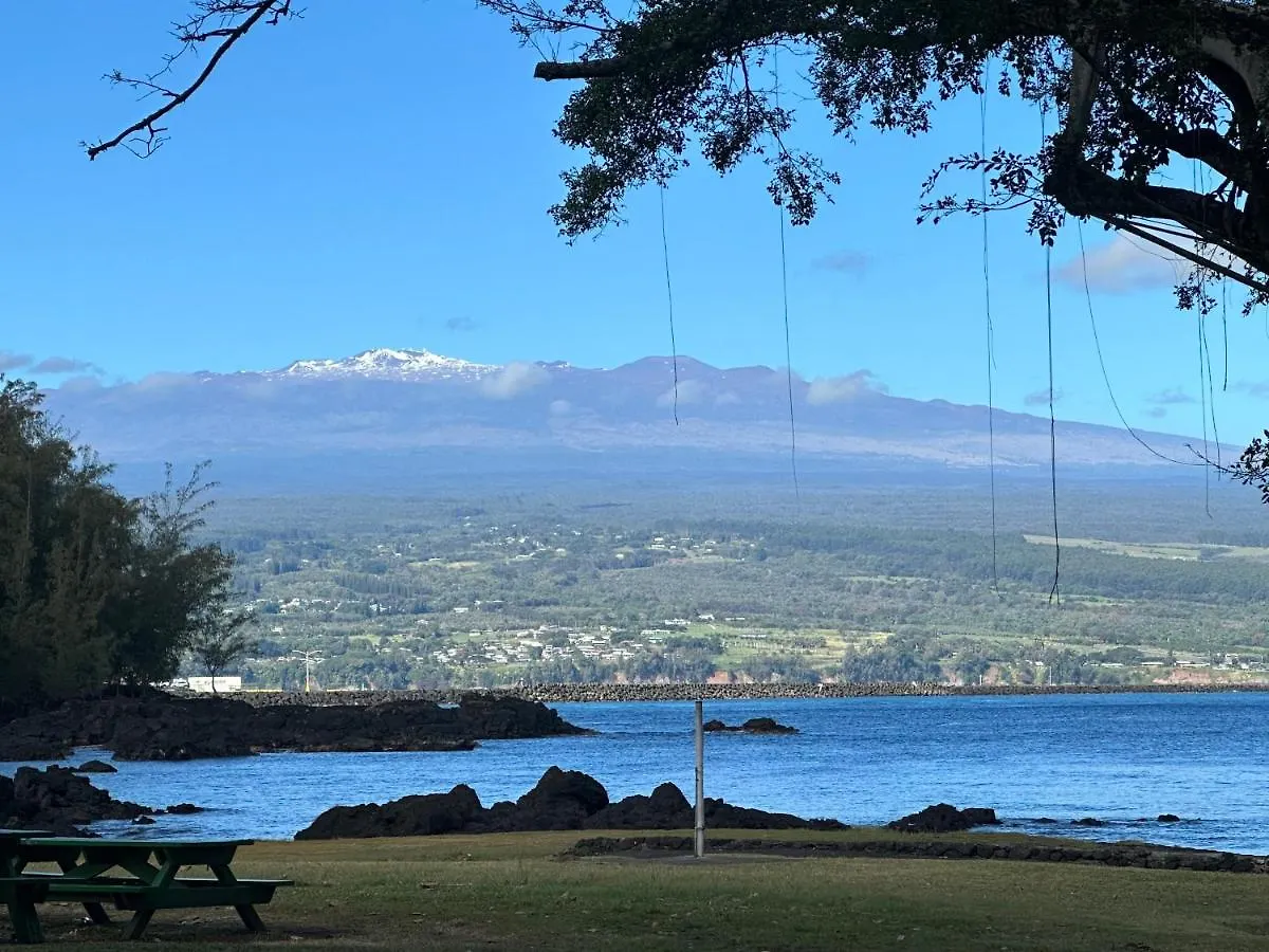 Direct Oceanfront Mauna Loa Shores Honu Elua #508 Next To Carlsmith Beach Park, Hilo Hi 0*,