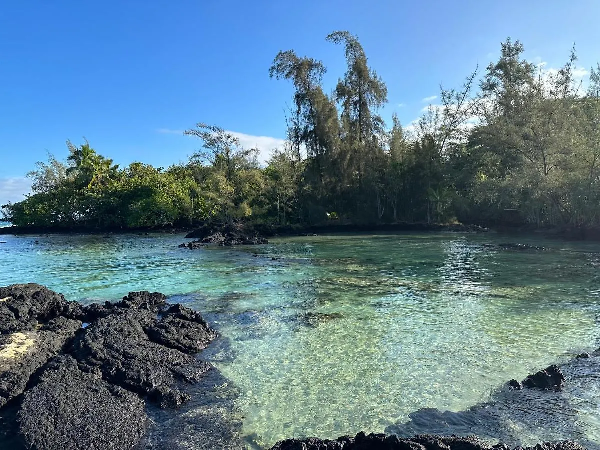 Direct Oceanfront Mauna Loa Shores Honu Elua #508 Next To Carlsmith Beach Park, Hilo Hi Apartment