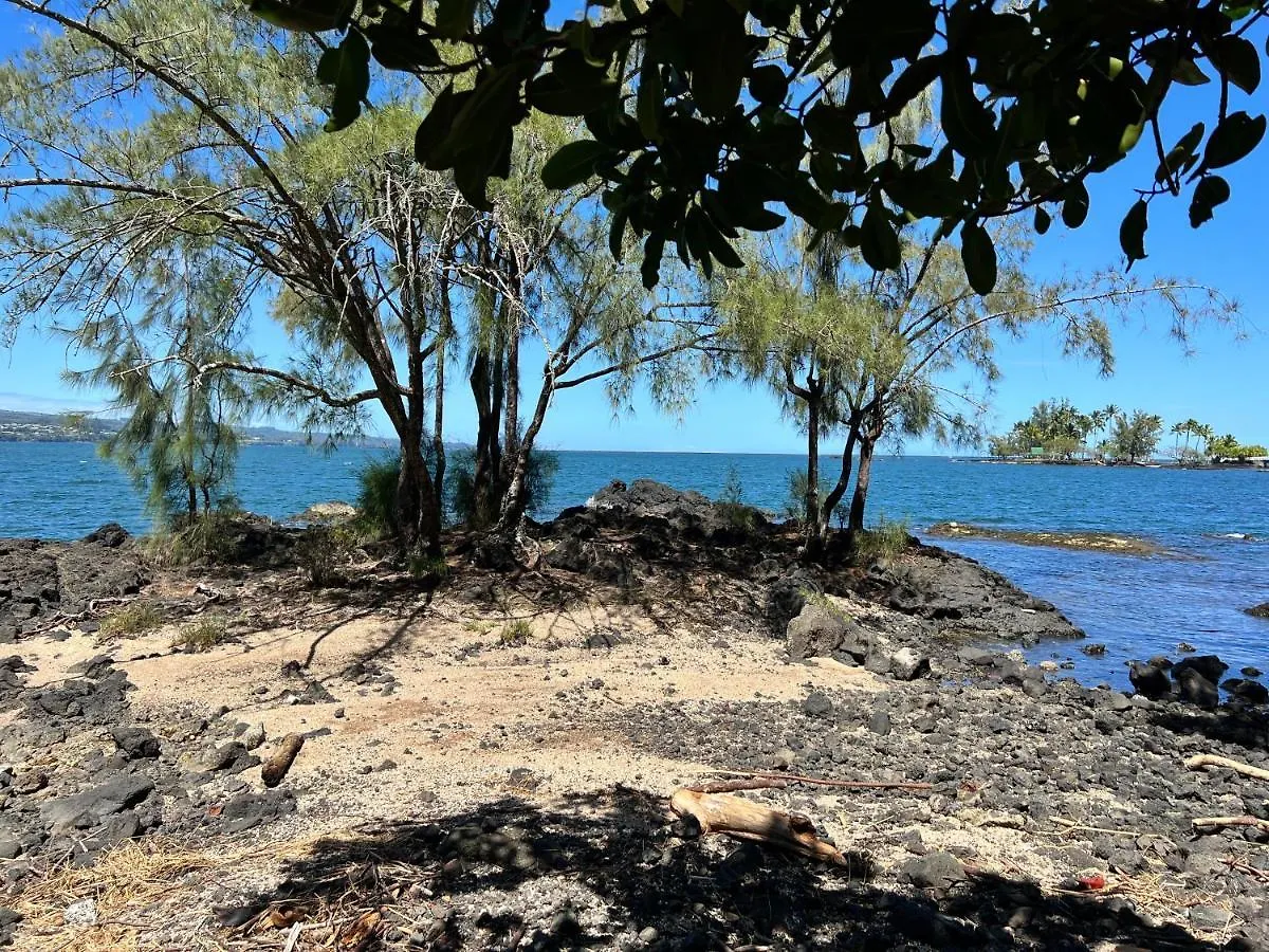 Apartment Direct Oceanfront Mauna Loa Shores Honu Elua #508 Next To Carlsmith Beach Park, Hilo Hi