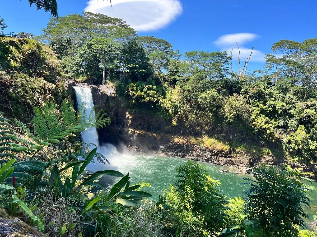 アパート Direct Oceanfront Mauna Loa Shores Honu Elua #508 Next To Carlsmith Beach Park, Hilo Hi