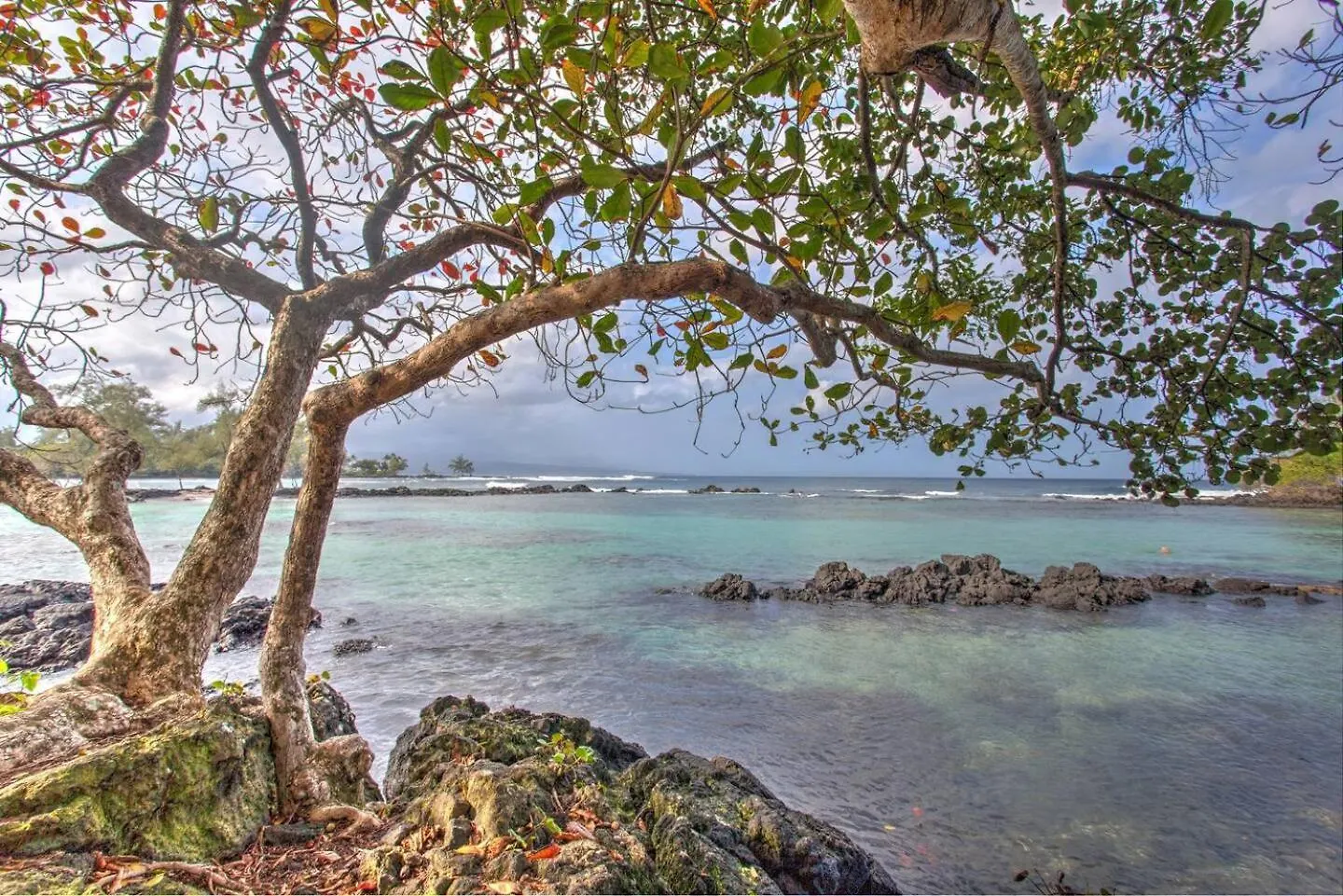 Direct Oceanfront Mauna Loa Shores Honu Elua #508 Next To Carlsmith Beach Park, Hilo Hi アパート