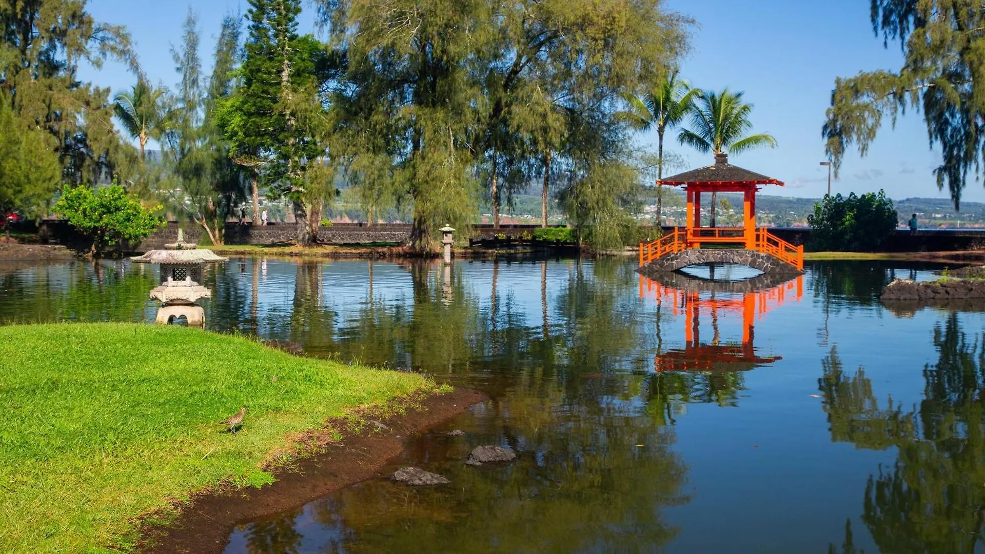 Direct Oceanfront Mauna Loa Shores Honu Elua #508 Next To Carlsmith Beach Park, Hilo Hi 0*,