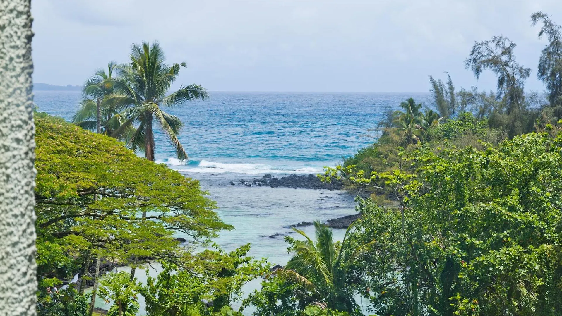 Direct Oceanfront Mauna Loa Shores Honu Elua #508 Next To Carlsmith Beach Park, Hilo Hi アパート