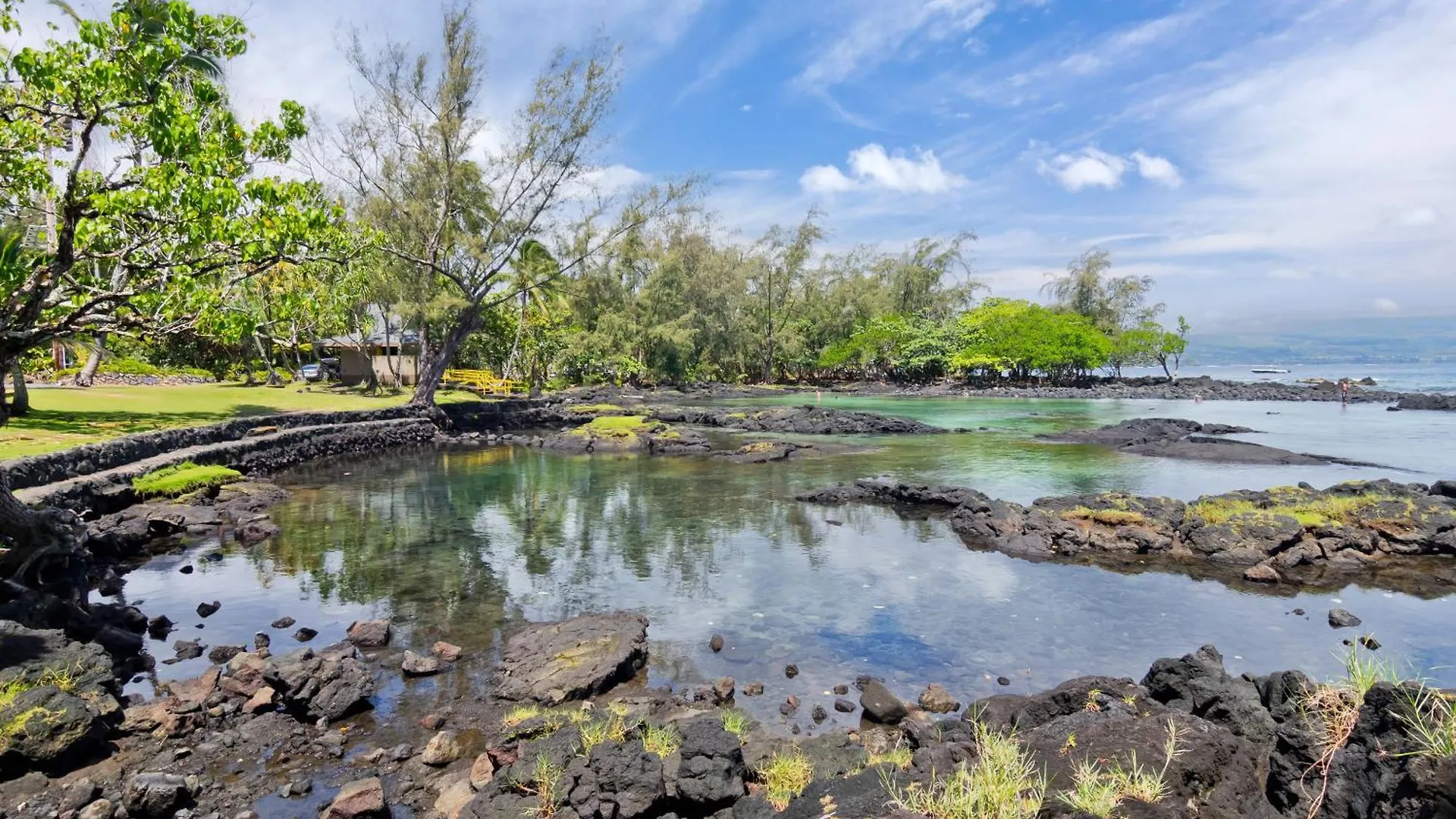 Direct Oceanfront Mauna Loa Shores Honu Elua #508 Next To Carlsmith Beach Park, Hilo Hi