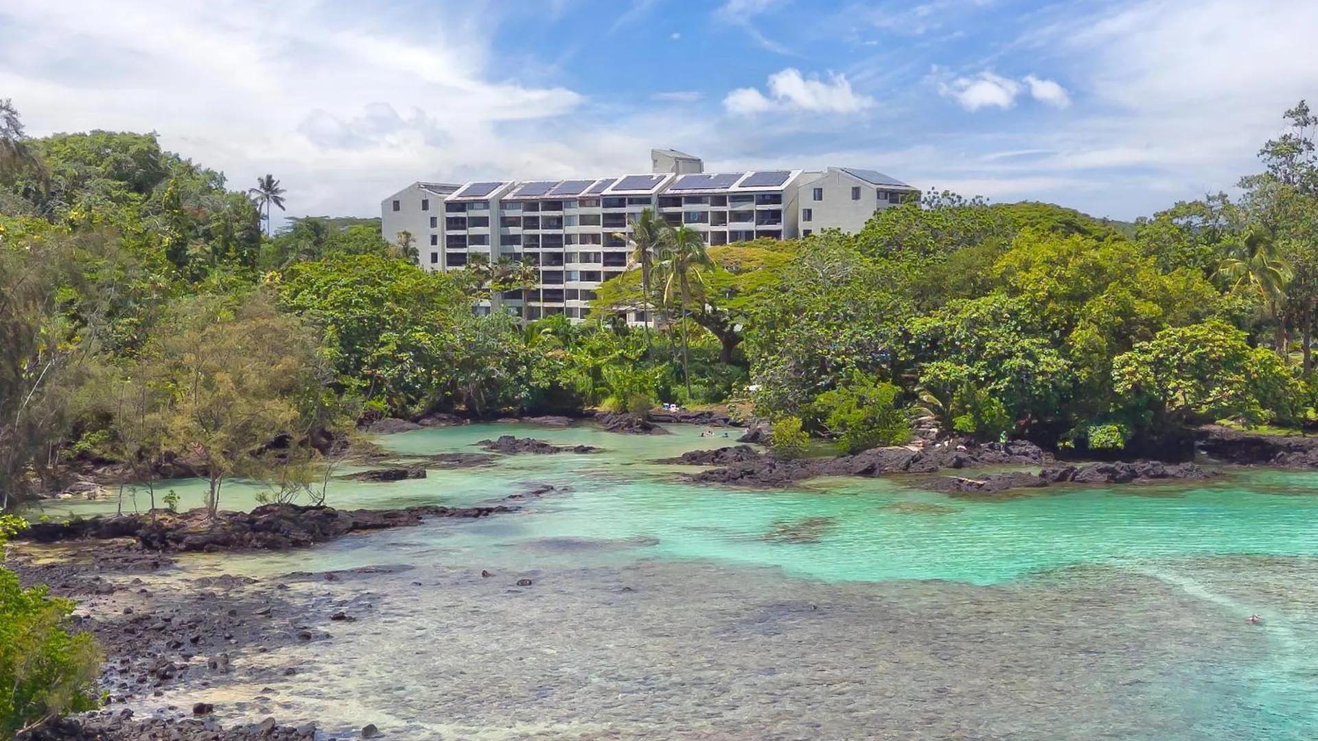 アパート Direct Oceanfront Mauna Loa Shores Honu Elua #508 Next To Carlsmith Beach Park, Hilo Hi 米国