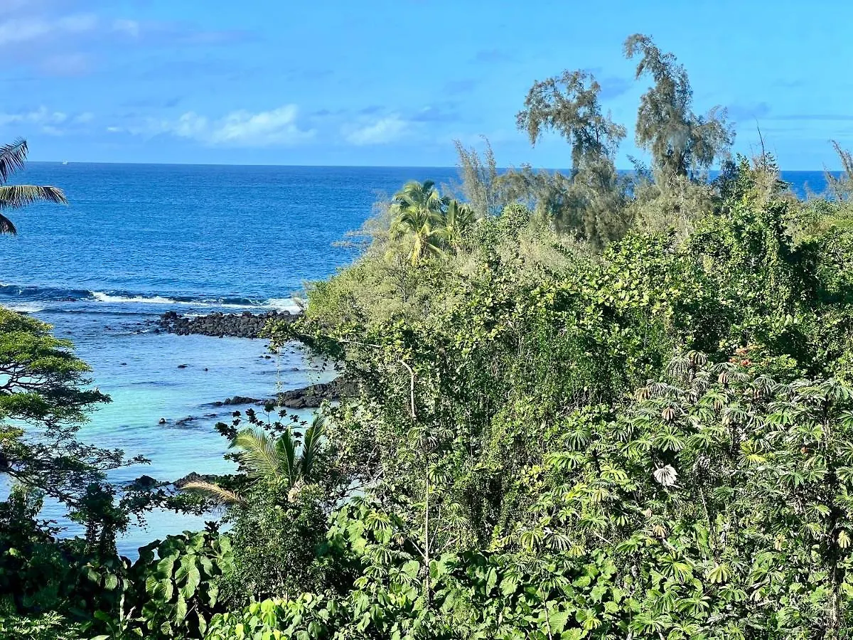 Direct Oceanfront Mauna Loa Shores Honu Elua #508 Next To Carlsmith Beach Park, Hilo Hi Stati Uniti