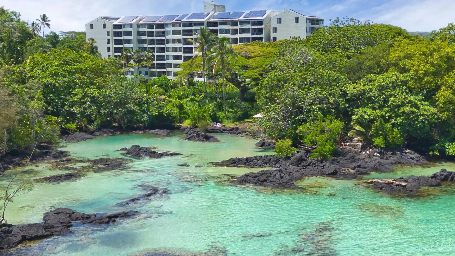 Direct Oceanfront Mauna Loa Shores Honu Elua #508 Next To Carlsmith Beach Park, Hilo Hi Apartmán